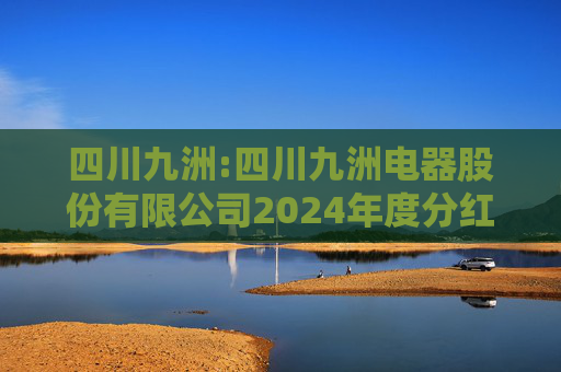 四川九洲:四川九洲电器股份有限公司2024年度分红派息实施公告