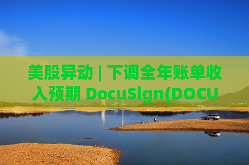 美股异动 | 下调全年账单收入预期 DocuSign(DOCU.US)大跌超18%