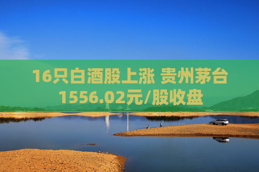 16只白酒股上涨 贵州茅台1556.02元/股收盘