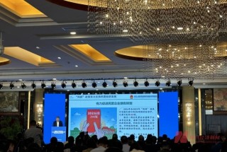 国家发展改革委：民营企业既是“两新”政策积极参与者，更是直接受益者