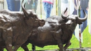 如何理解资本流动现象？理解这种现象有什么意义？