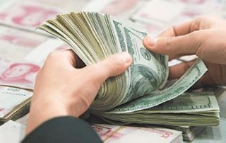 如何理解期权的简介内容？这种理解对投资操作有何帮助？