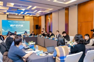 为什么一款三家合作的“国民好车”会问题频出？