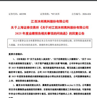 造假被罚，退市风险仍存，603398为何逆势涨停？