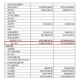 华宇集团2024年净利缩水近九成，57岁董事长蒋杰曾是建筑公司施工员