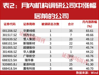 机构岁末布局路线浮现！一批公司股价正在大涨！