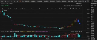 300344，连续3年财务造假，终止上市