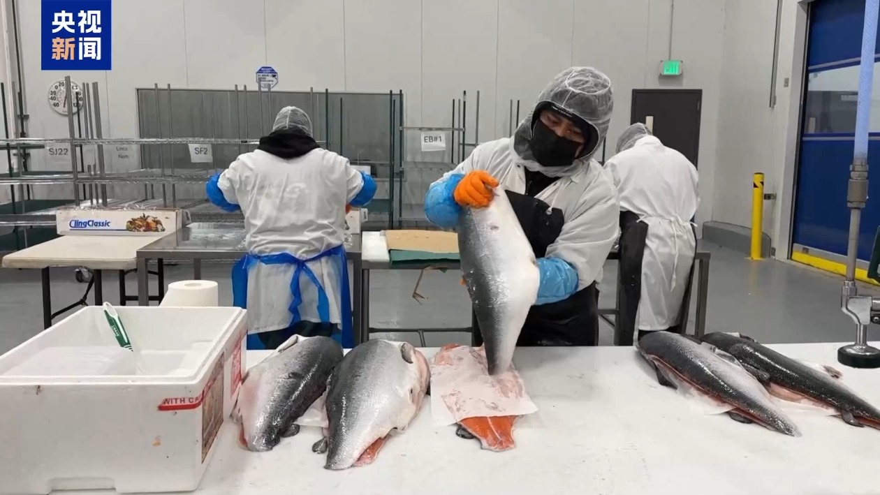 美股继续暴跌、衰退预警齐发 美媒诘问：谁为关税“埋单”？  第10张