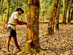 如何计算轮胎只换橡胶的费用？这种费用的构成因素有哪些？  第1张