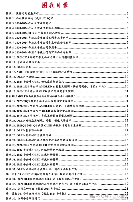 【中银化工】公司深度-莱特光电（688150.SH）：国内OLED终端材料领先企业  第2张