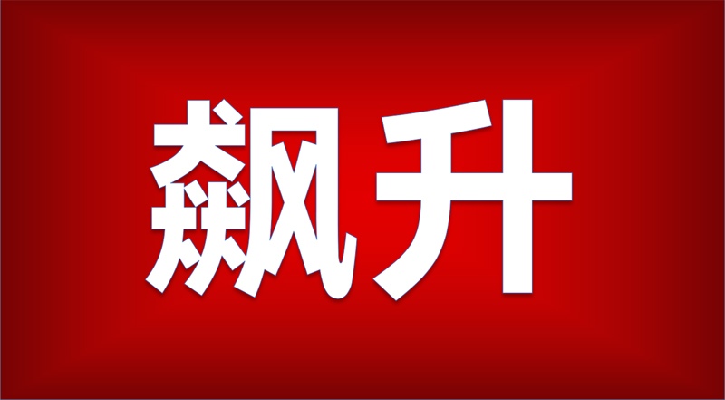 如何进行股票期权程序化交易？交易有哪些要点？  第1张