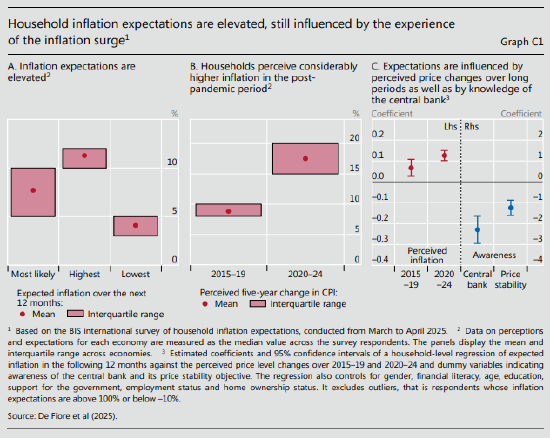 国际清算银行称:关税使美联储面临真实通胀难题 第2张 国际清算银行称:关税使美联储面临真实通胀难题 第2张