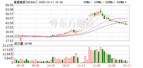 真爱美家：公司将持续优化投资者沟通渠道  第1张
