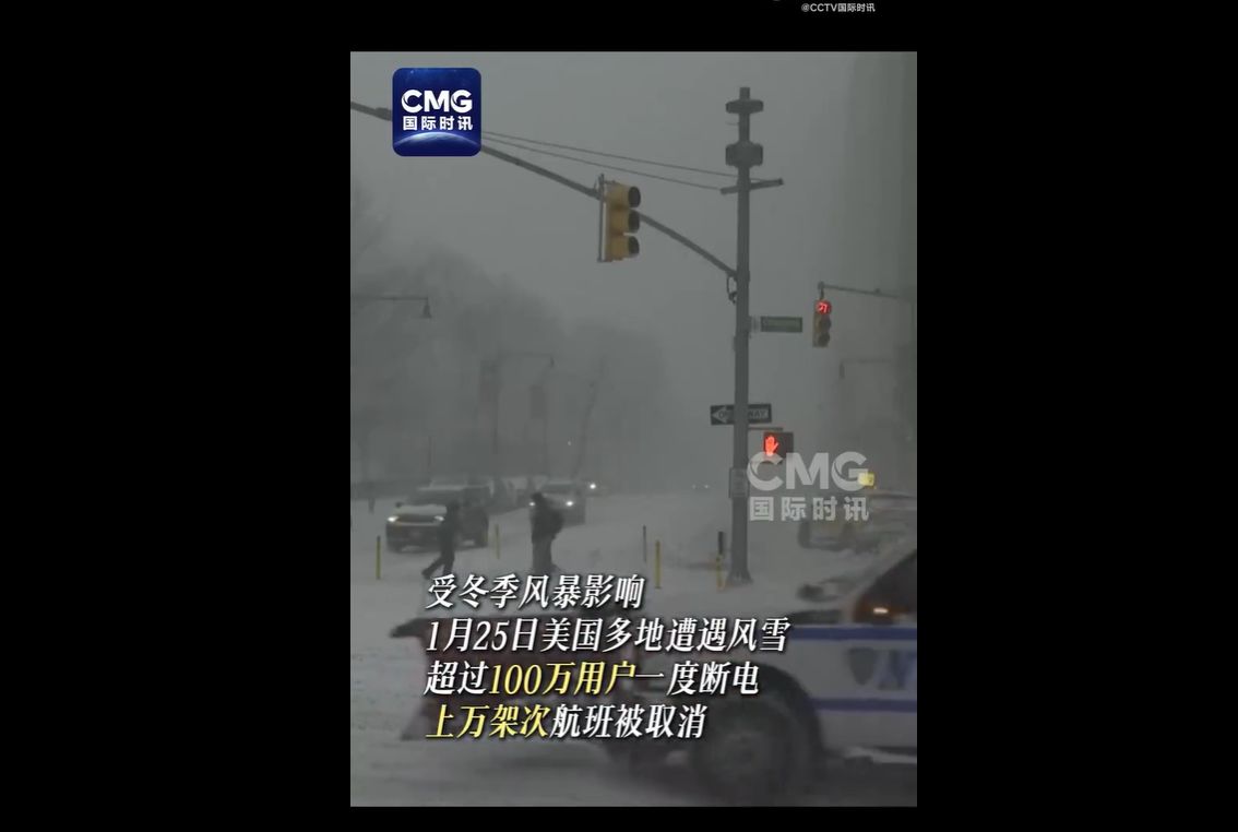 美国芝加哥出现负电价，发生了什么？  第1张