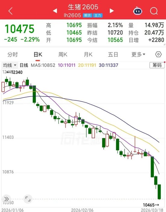 全行业亏损!猪价“跌跌不休”,底在何方? 第3张 全行业亏损!猪价“跌跌不休”,底在何方? 第3张